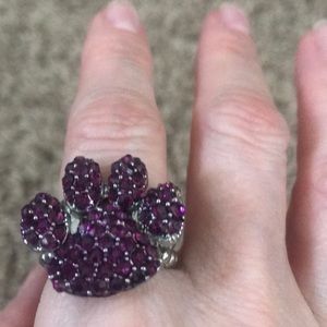 Silver ring with amethyst crystal paw on top.